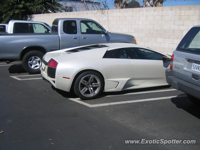 lamborghini colorado