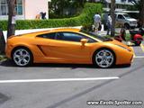 Lamborghini Gallardo