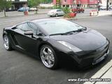 Lamborghini Gallardo