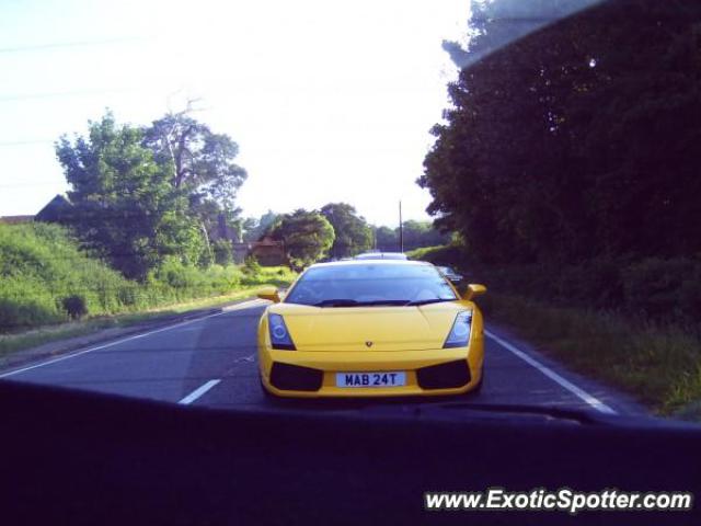 Lamborghini Gallardo spotted in Goodwood, United Kingdom