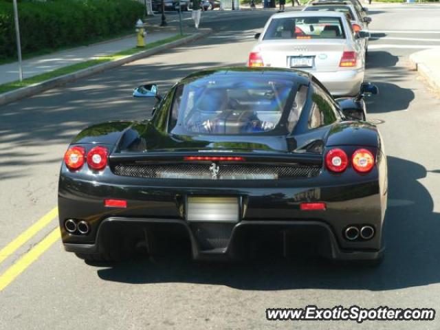 Ferrari Enzo spotted in Greenwich, Connecticut