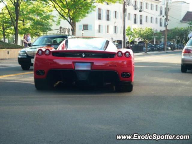 Ferrari Enzo spotted in Greenwich, Connecticut