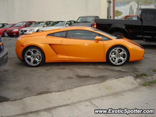 Lamborghini Gallardo spotted in Kingston, Canada