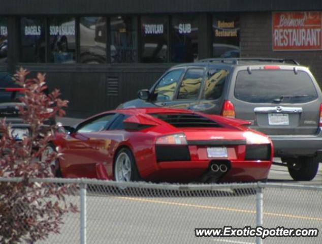 Lamborghini Murcielago spotted in Toronto, Canada