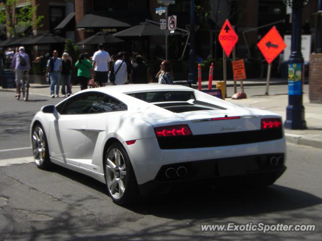 Lamborghini Gallardo spotted in Toronto, Canada