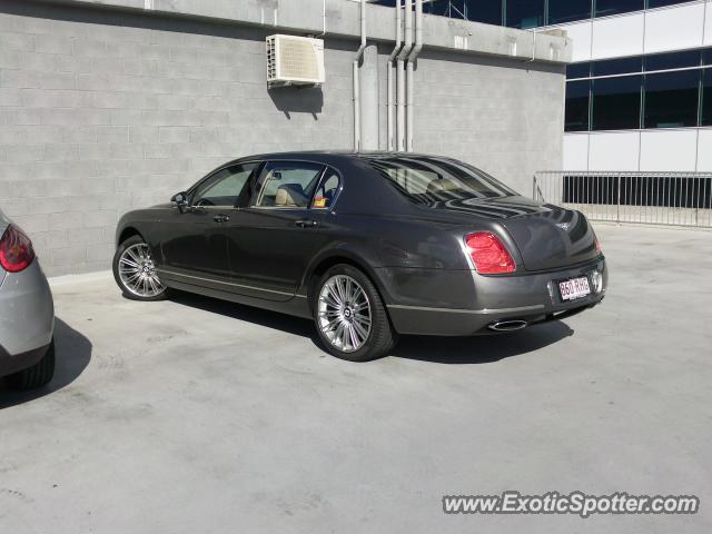 Bentley Continental spotted in Brisbane, Australia