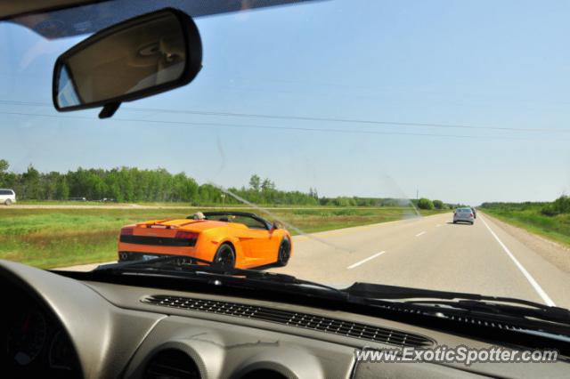 Lamborghini Gallardo spotted in Winnipeg, Manitoba, Canada