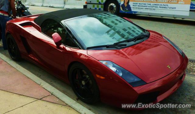 Lamborghini Gallardo spotted in Miami, Florida