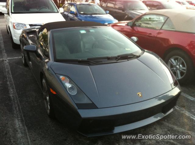 Lamborghini Gallardo spotted in Miami, Florida