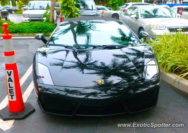 Lamborghini Gallardo spotted in Miami, Florida