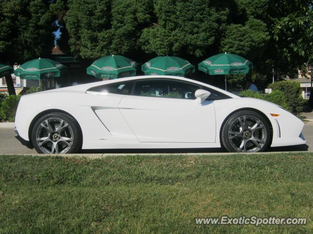 Lamborghini Gallardo spotted in Ohrid, Macedonia