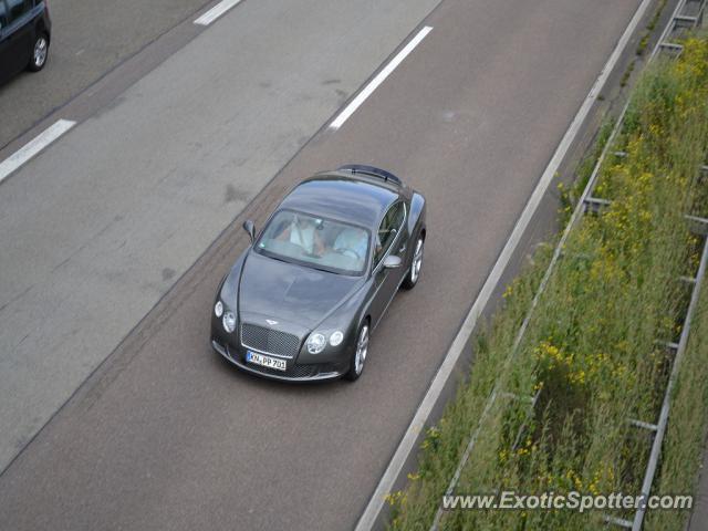 Bentley Continental spotted in Rheinböllen, Germany