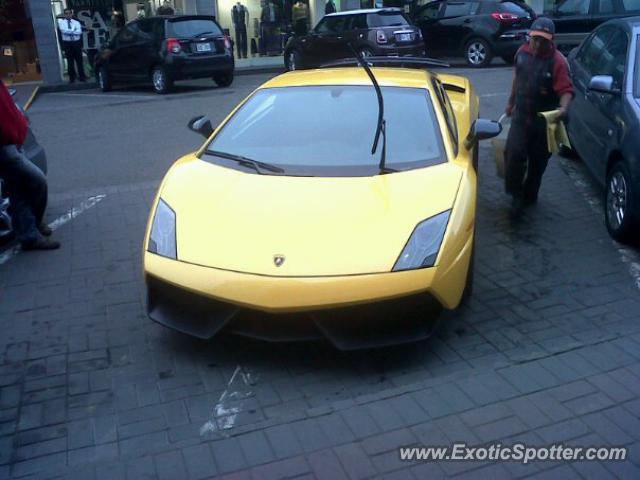 Lamborghini Gallardo spotted in Lima, Peru