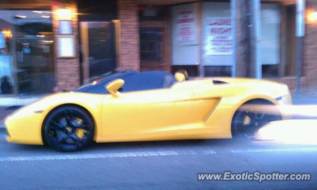 Lamborghini Gallardo spotted in Hewlett, New York