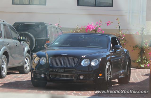 Bentley Continental spotted in Los Angeles, California