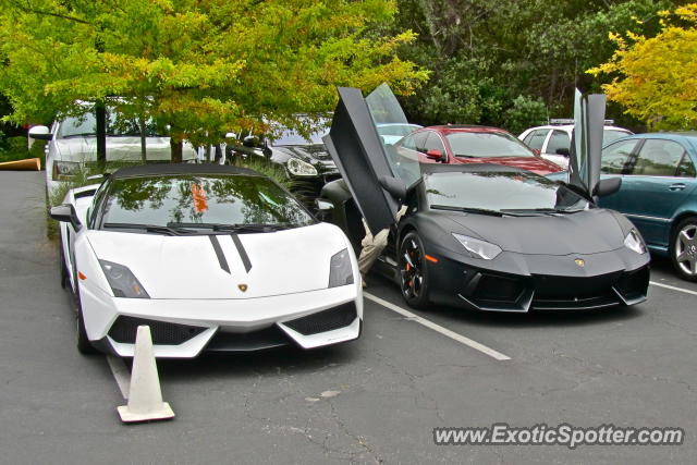 Aventador Reventon