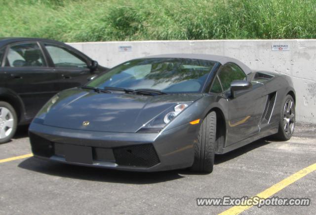 Lamborghini Gallardo spotted in Georgetown, Canada