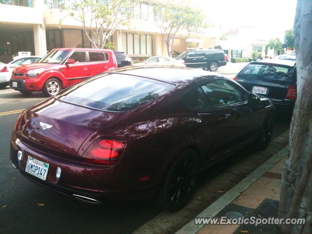 Bentley Continental spotted in La Jolla, California