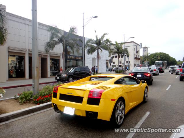 Lamborghini Gallardo spotted in Beverly Hills, California