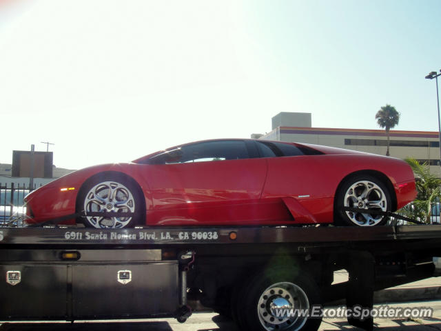 Lamborghini Murcielago spotted in Los Angeles, California