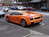 Lamborghini Gallardo