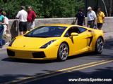 Lamborghini Gallardo