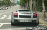 Lamborghini Gallardo