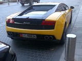 Lamborghini Gallardo