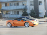 Lamborghini Gallardo