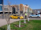 Lamborghini Gallardo