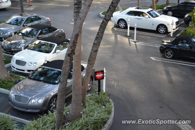 Rolls Royce Ghost spotted in Miami, Florida