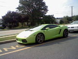 Lamborghini Gallardo