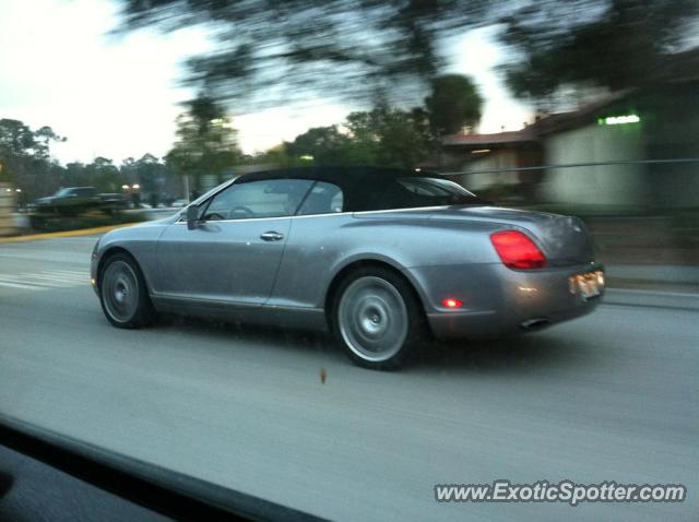 Bentley Continental spotted in Jacksonville , Florida