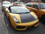 Lamborghini Gallardo