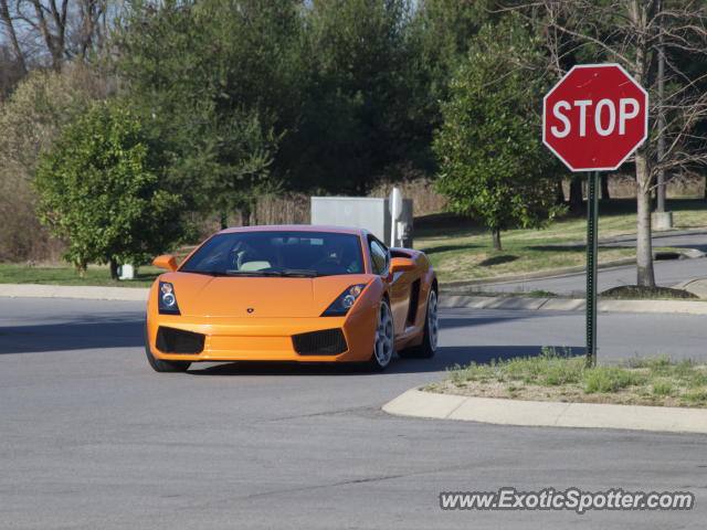 Lamborghini Gallardo spotted in Nashville, Tennessee