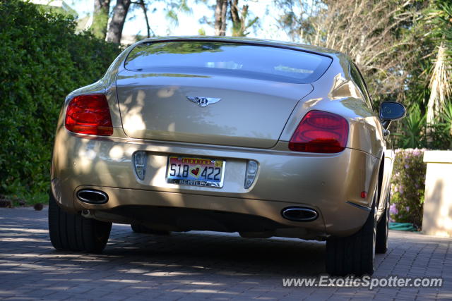 Bentley Continental spotted in Jacksonville, Florida