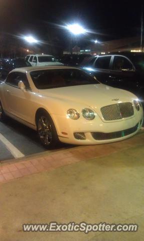 Bentley Continental spotted in Raleigh, North Carolina