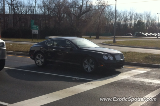 Bentley Continental spotted in Alexandria, Virginia