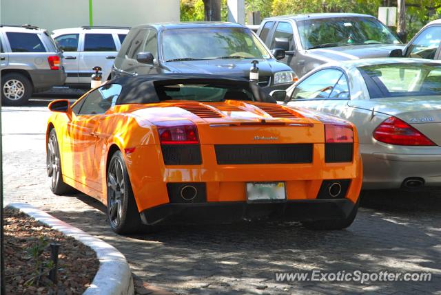 Lamborghini Gallardo spotted in Ft. Lauderdale, Florida