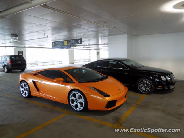 Lamborghini Gallardo spotted in Chicago , Illinois