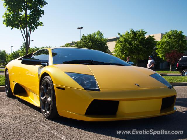 Lamborghini Murcielago spotted in Franklin, Tennessee