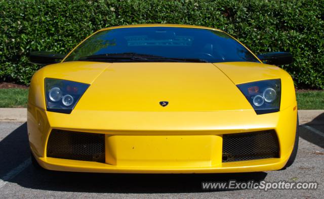 Lamborghini Murcielago spotted in Franklin, Tennessee