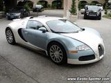 Bugatti Veyron