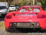 Porsche Carrera GT