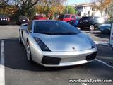 Lamborghini Gallardo