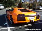 Lamborghini Murcielago