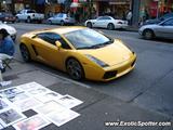 Lamborghini Gallardo