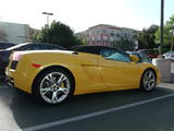 Lamborghini Gallardo