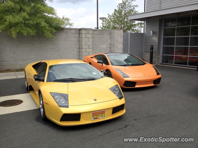 Lamborghini Murcielago spotted in Fairfax, Virginia