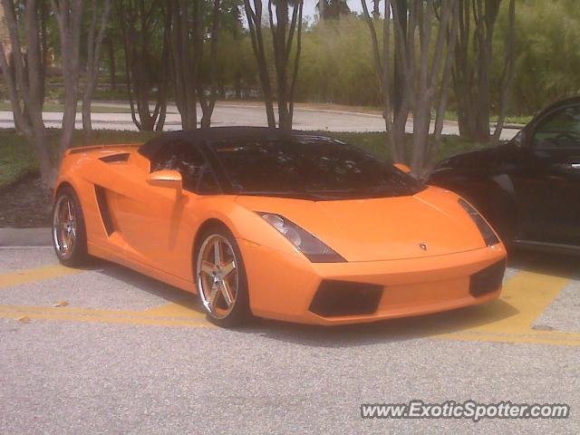 Lamborghini Gallardo spotted in Orlando, Florida